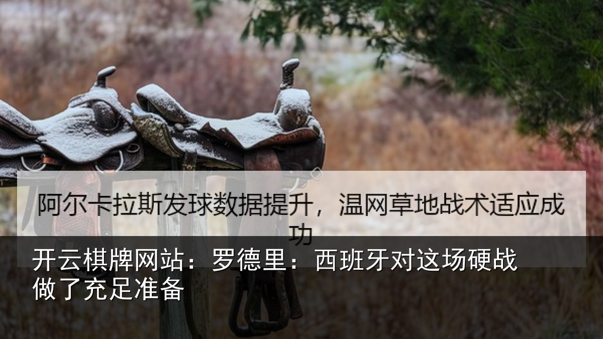 开云棋牌网站:罗德里:西班相关情况