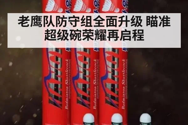 老鹰队防守组全面升级 瞄准超级碗荣耀再启程